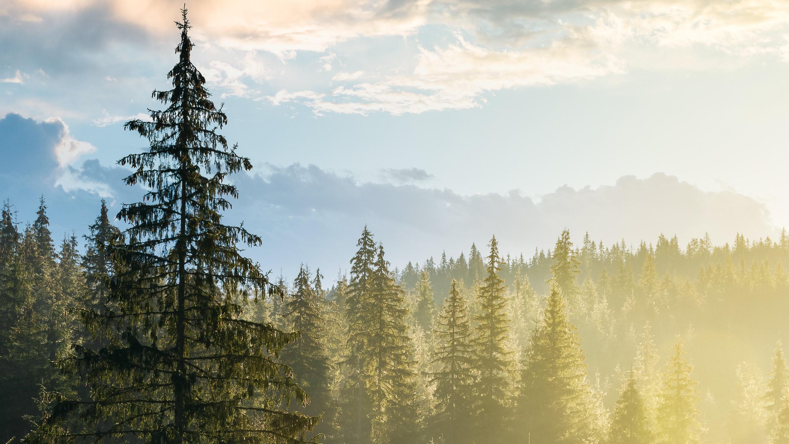 Adapting to Change. Together