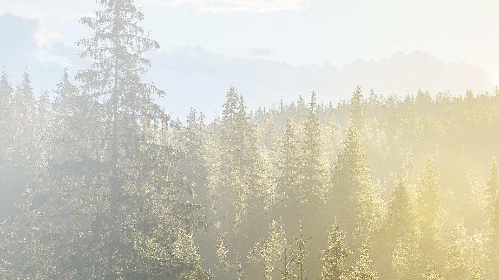 S'adapter ensemble au changement